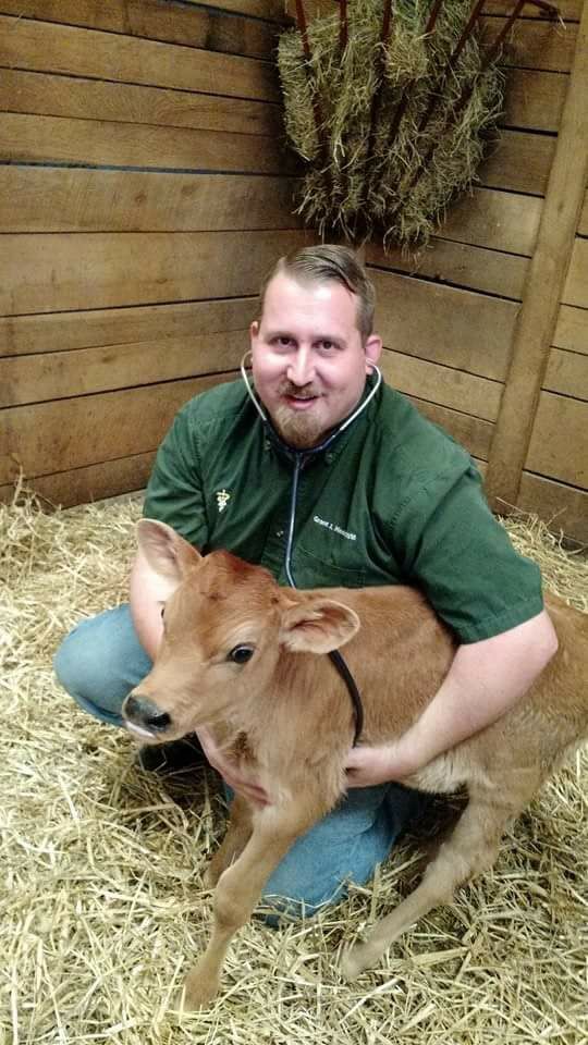 Lack of farm veterinarians